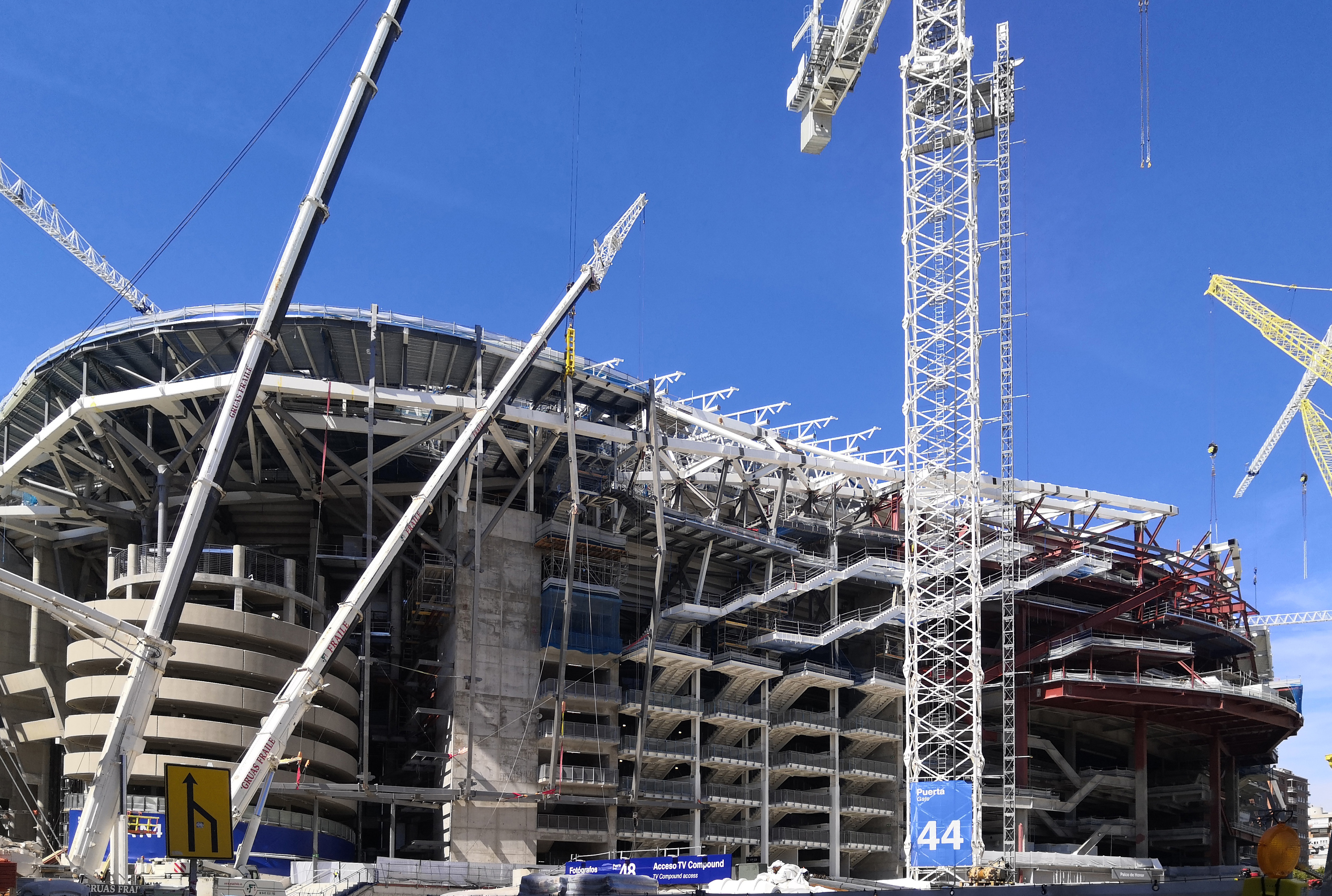 IMG_20220917_142732 fly_10807.jpg